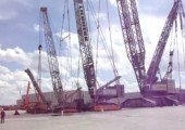 Craneception