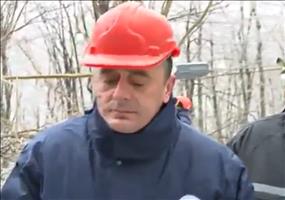 Es herrscht Helmfplicht im Wald