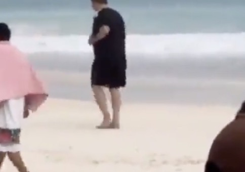 Langsamer Strandgänger