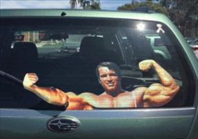 Hornoxe.com - Gifdump #125 - Animierter Picdump