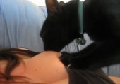 Katze massier Brüste