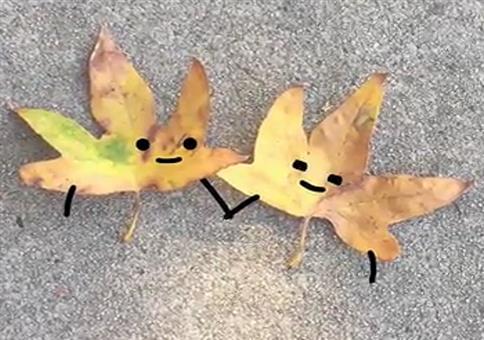 Secret World of Stuff