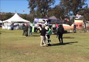 Windhose baut Zelte ab