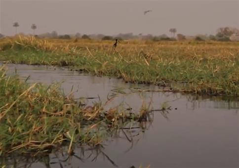 Mit dem Kanu im Krokodilgebiet unterwegs
