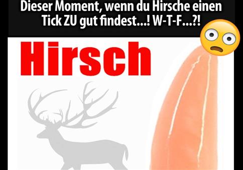 Für die Hirchfans unter euch...