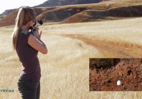 Hornoxe.com - Gifdump #286 - Animierter Picdump