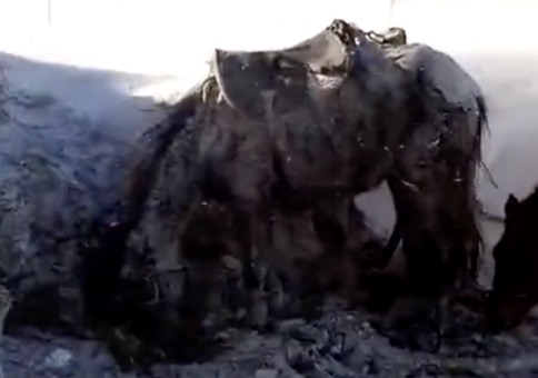 Mächtig windig heute