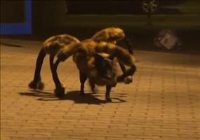 Streich: Riesige Mutantenspinne