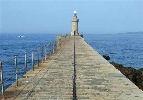 Das Sexualverhalten der Pflastersteine...