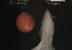 Experiment: Bowlingkugel und Federn im freien Fall