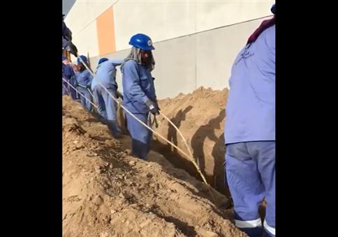 Arbeitsteilung mal anders