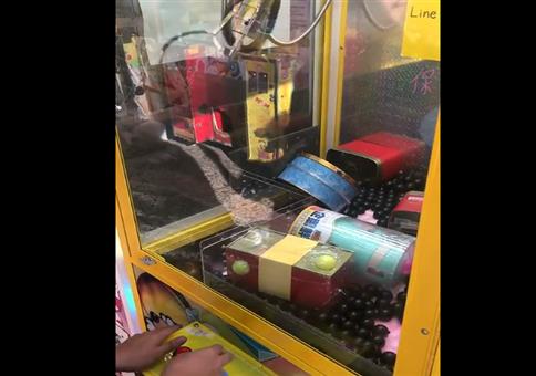 Der Boss am Greifautomat