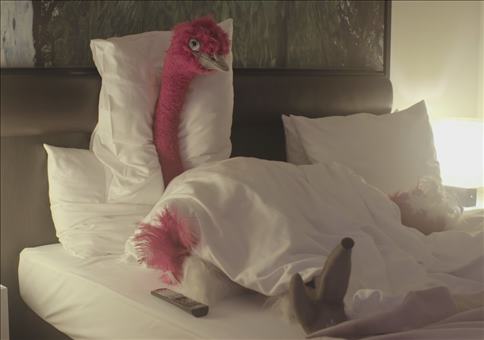 Auf den Spuren des Wenigfliegers