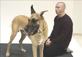 Wie Hunde reagieren wenn Menschen bellen