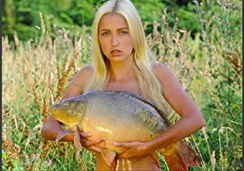 Carponizer – Erotischer Karpfenkalender 2016