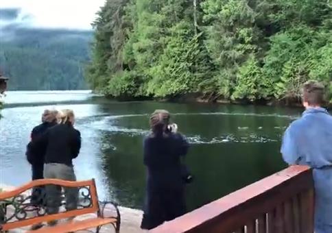 Großer Besuch in der Bucht