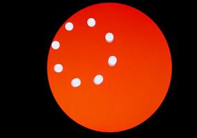 Illusion: Die rotierenden Kreise