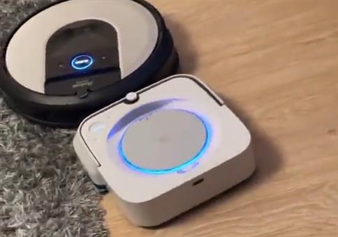 Staubsaugerkampf im Wohnzimmer