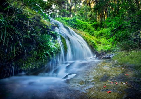 Wasserfall Entspannungsvideo