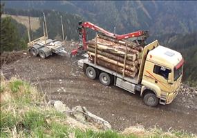 Platz genug zum wenden