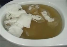 Verstopfte Toilette? Das kann man dagegen tun!