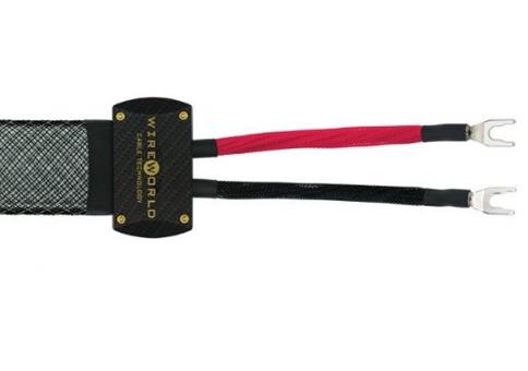 WireWorld Platinum Eclipse