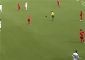 Tierischer Flitzer auf dem Fußballfeld