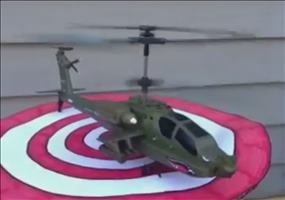 Tierischer Hubschrauberstart