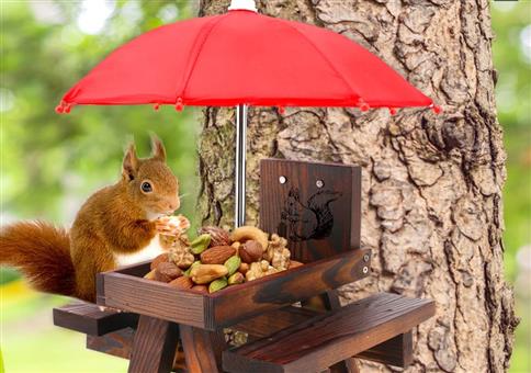 🐿️ Eichhörnchen Snackbar