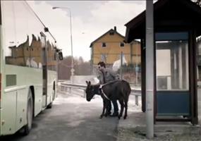 Tiere als Blindenführer