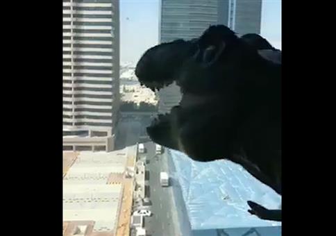 Dino begrüßt schreiend seine Nachbarn