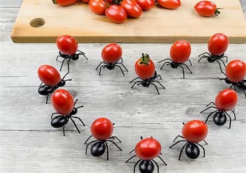 Wenn dir riesige Ameisen deine Essen ranschaffen