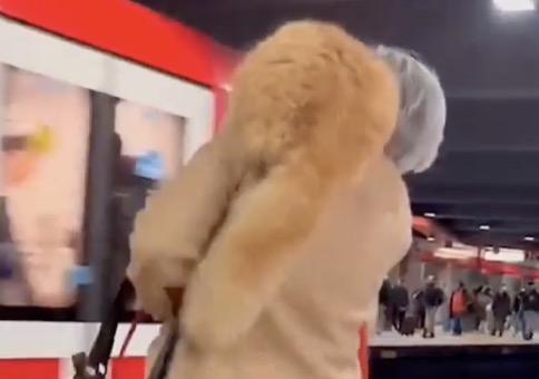 Die Katze Hops nehmen