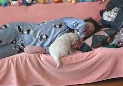 Klare Verhältnisse schaffen: Wer darf bei Herrchen schlafen?