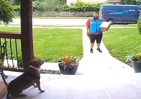 Paketbote nähert sich dem Hund