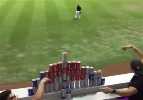 Dosenwerfen beim Baseball