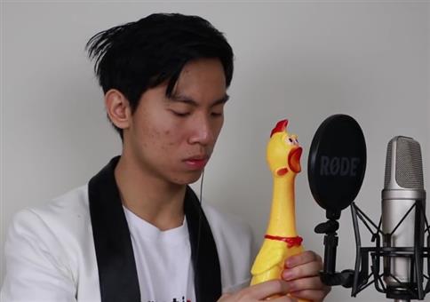 Canon in D - Quietschhuhn Edition