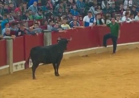 Neulich in der Stierkampfareaa