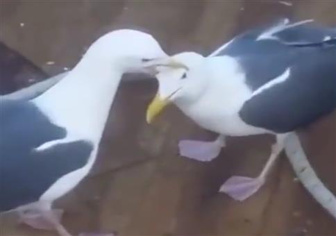 Ich zieh mir mal ne Portion Futter aus dem Kollegen hier