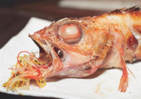 Bilder, die dich vom vorzeitigen ejakulieren abhalten!