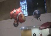 Fliegende Fische