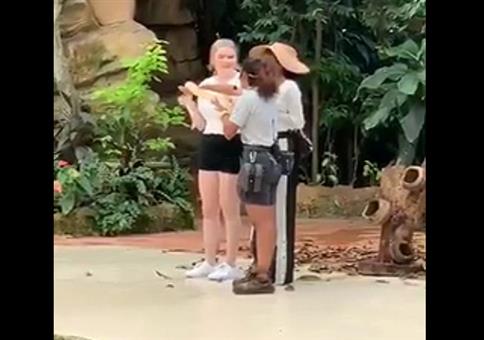 Eine kleine Schlange halten