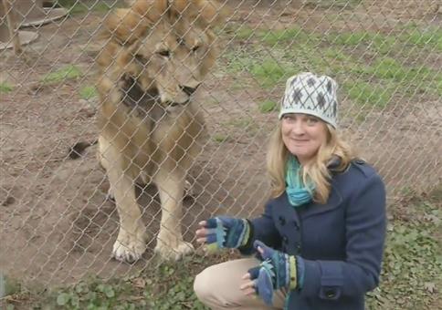 Löwe lässt sich nicht dumm anquatschen