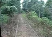 Mit dem Zug durch den Dschungel