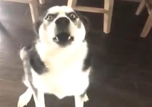 ICH KANN DICH NICHT HÖÖÖREN!