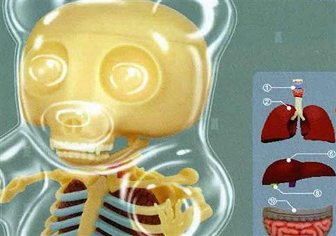 Die Anatomie eines Gummibärchens
