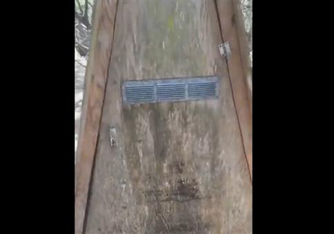 Plumpsklo mit vielen neuen Bewohnern