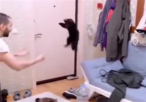 Kleiner Racker will spielen