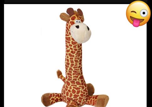 Frauen schätzen hier die inneren Werte