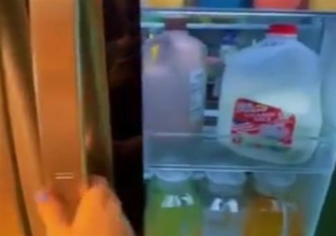 Welcher Kühlschrank ist besser?